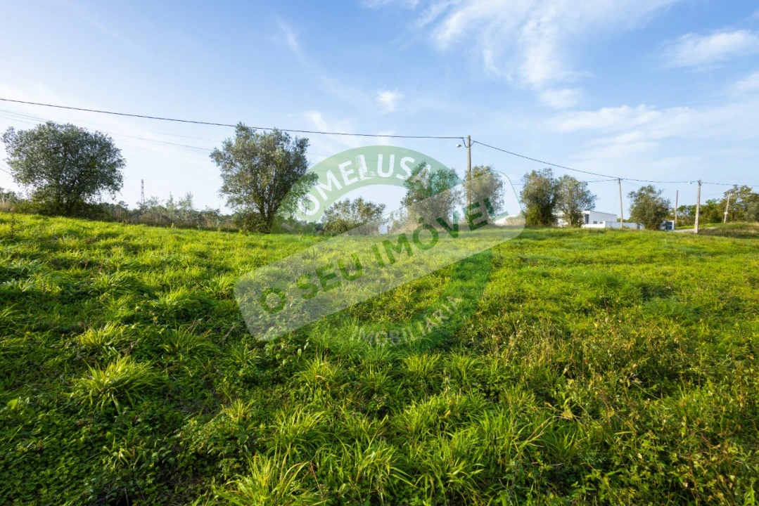 Terreno para Venda em Almalagues Foto 13