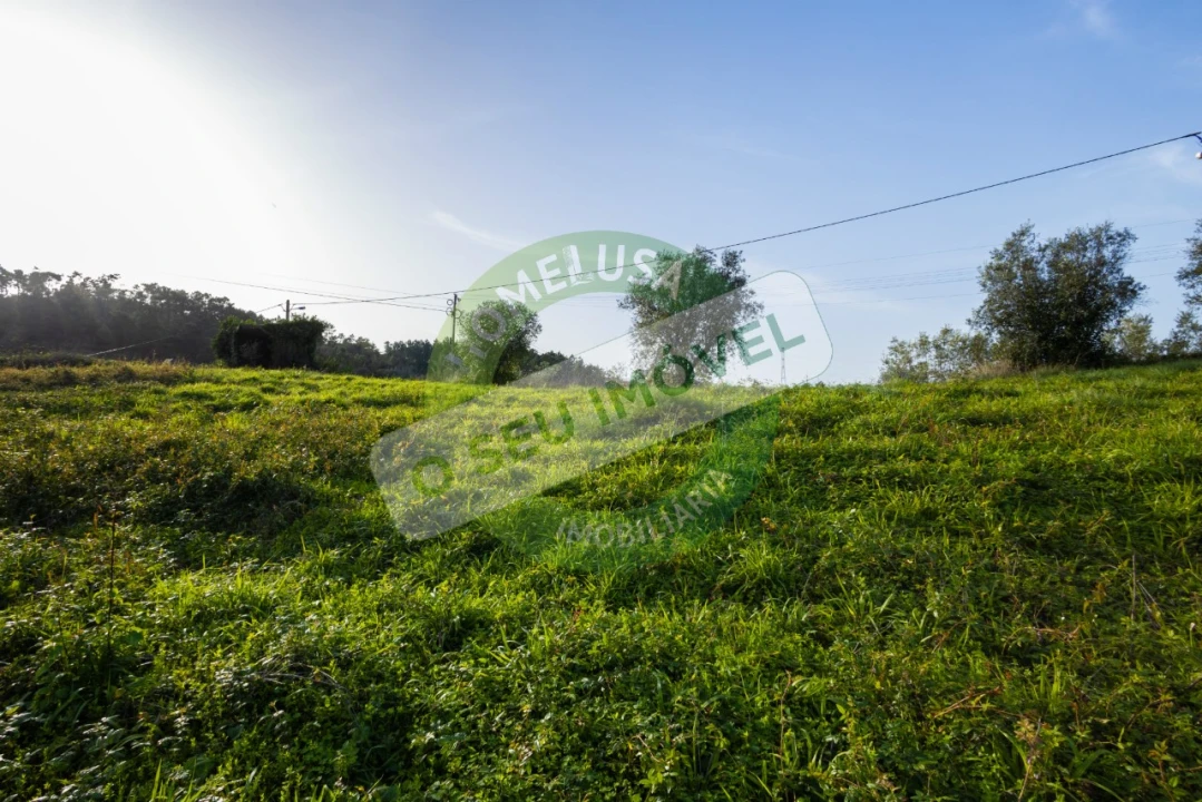 Terreno para Venda em Almalagues Foto 14