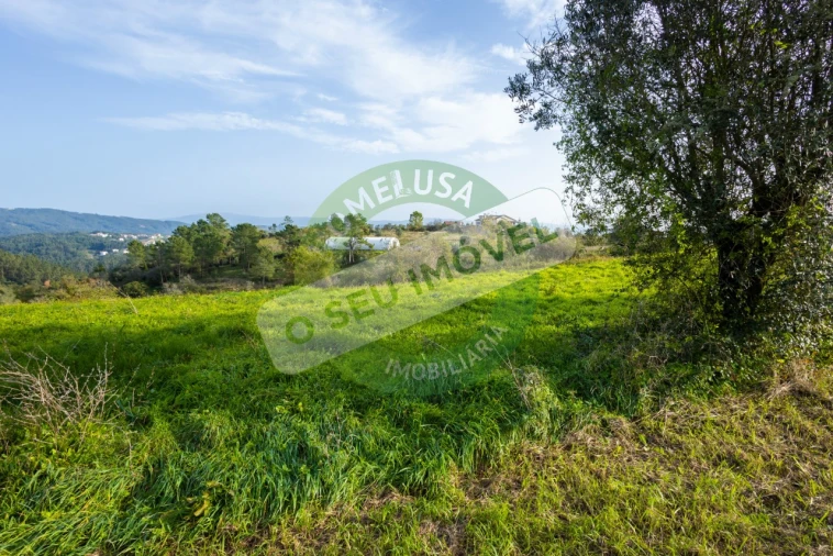 Terreno para Venda em Almalagues Foto 8