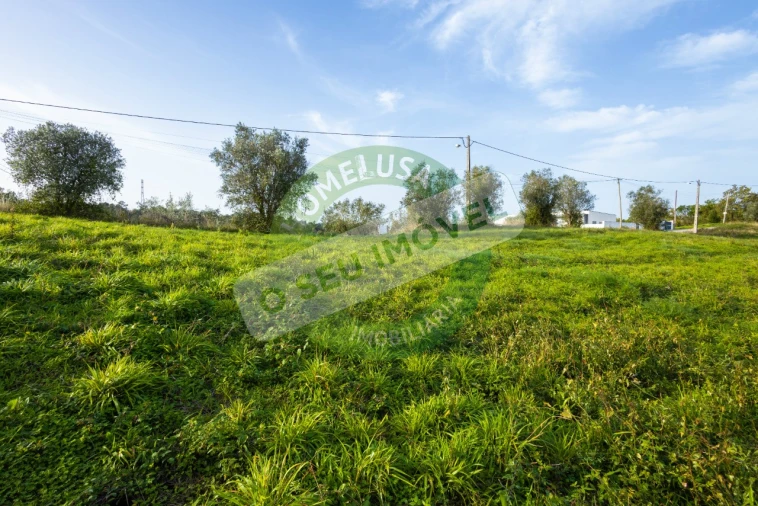 Terreno para Venda em Almalagues Foto 13