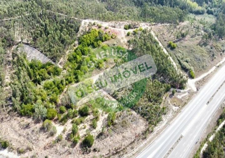 Terreno para Venda em Maiorca Foto 4