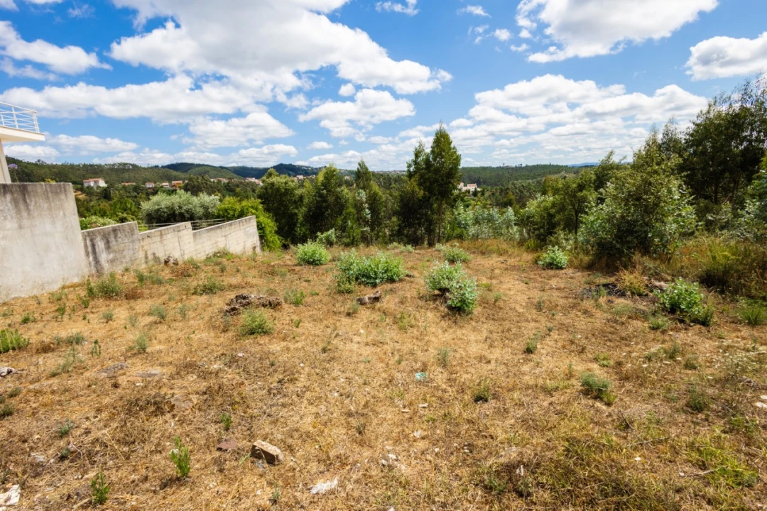Terreno para Venda em Eiras e São Paulo de Frades Foto 4