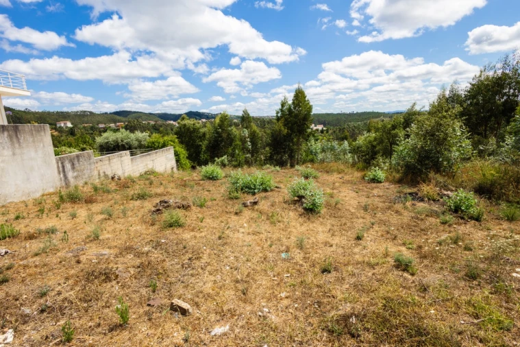 Terreno para Venda em Eiras e São Paulo de Frades Foto 4