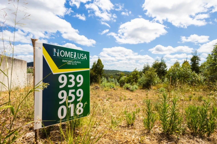Terreno para Venda em Eiras e São Paulo de Frades Foto 3
