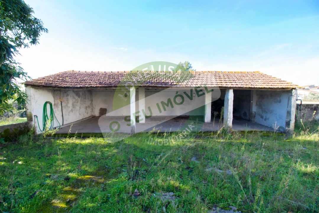 Terreno para Venda em São Martinho de Árvore e Lamarosa Foto 4