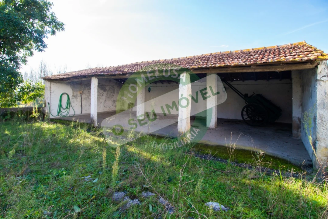 Terreno para Venda em São Martinho de Árvore e Lamarosa Foto 5
