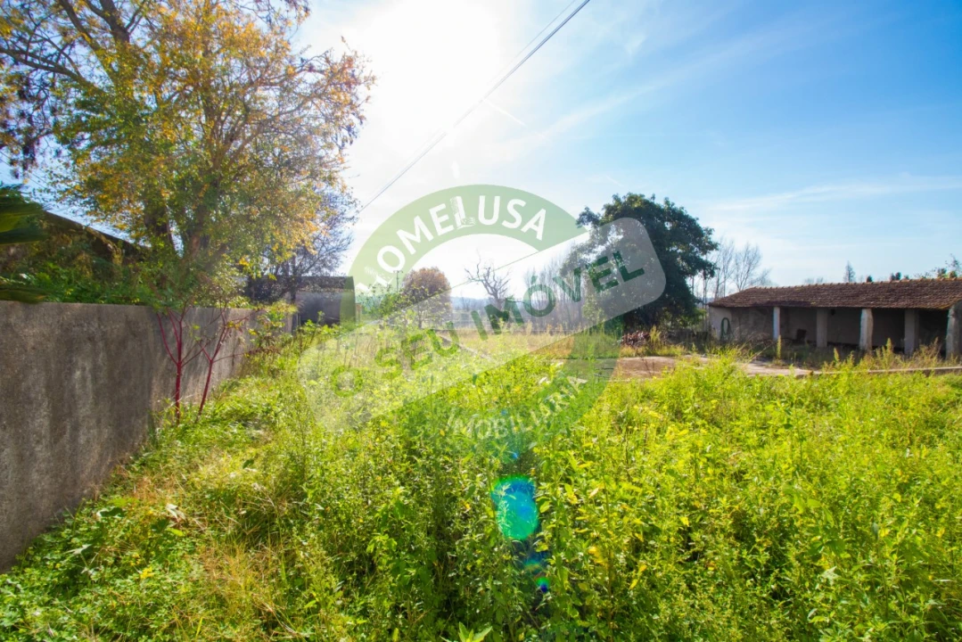 Terreno para Venda em São Martinho de Árvore e Lamarosa Foto 7