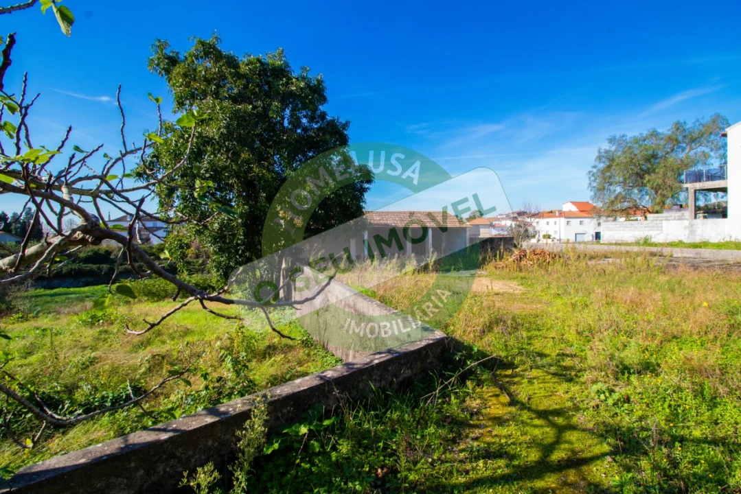 Terreno para Venda em São Martinho de Árvore e Lamarosa Foto 8