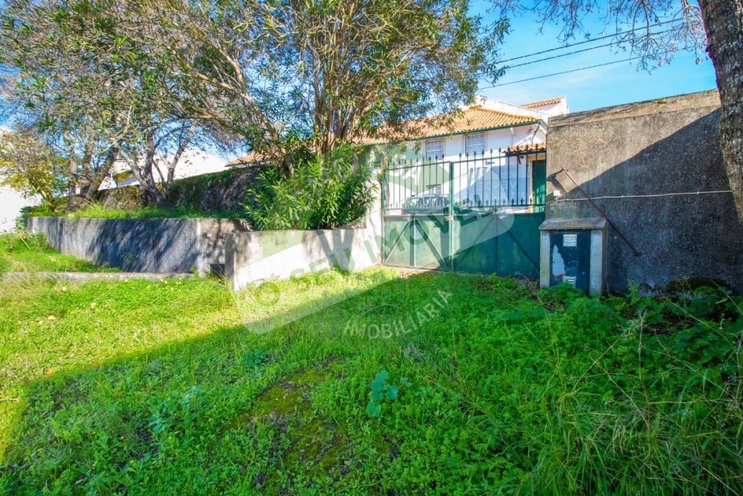 Terreno para Venda em São Martinho de Árvore e Lamarosa Foto 1
