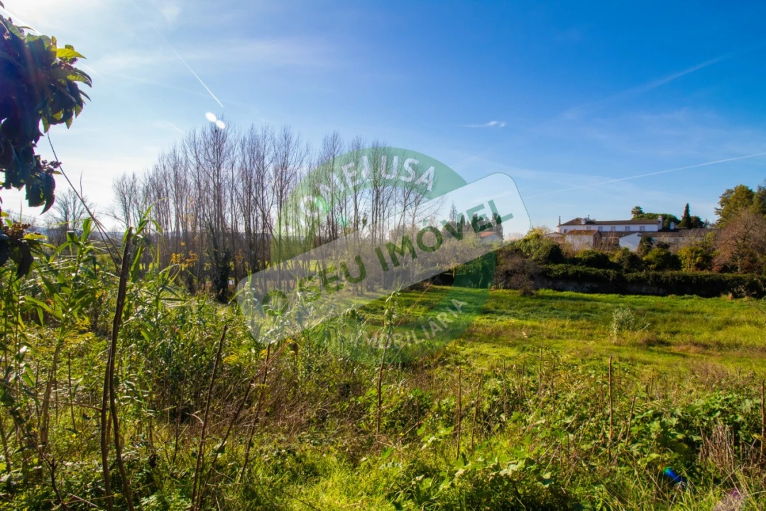 Terreno para Venda em São Martinho de Árvore e Lamarosa Foto 11