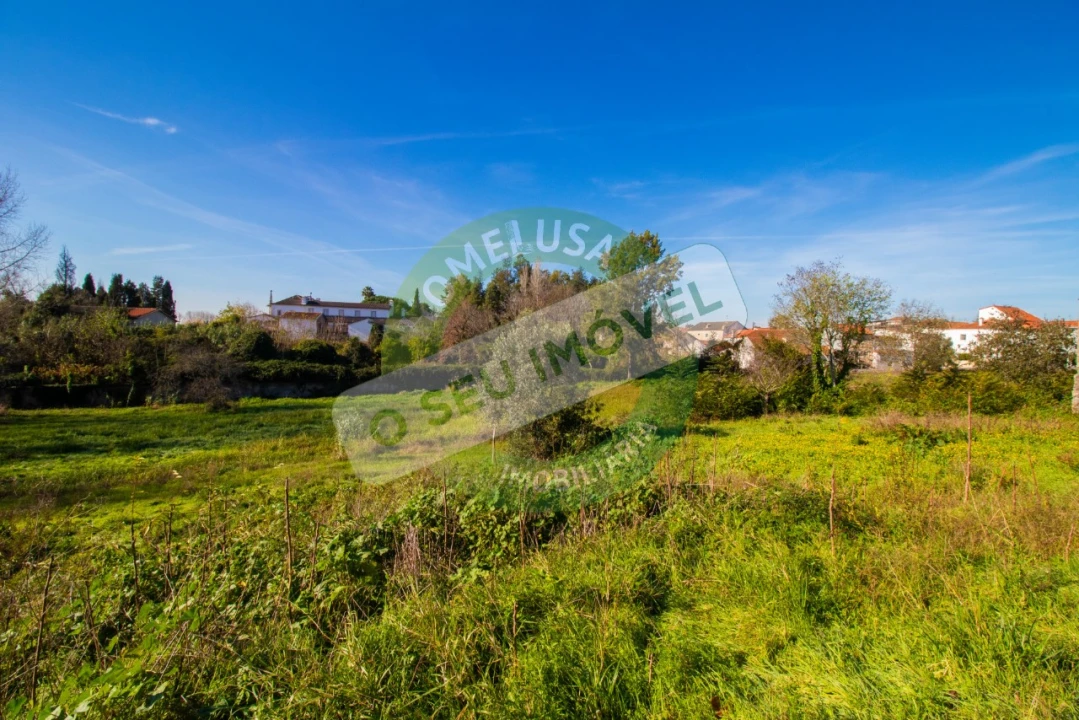 Terreno para Venda em São Martinho de Árvore e Lamarosa Foto 12