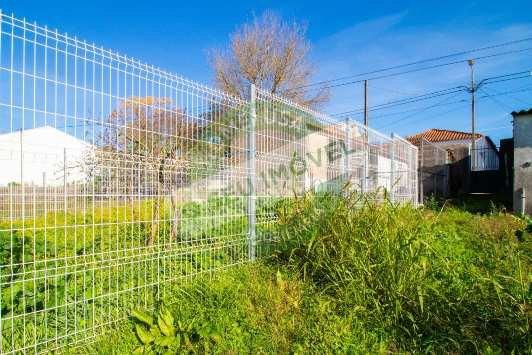 Terreno para Venda em São Martinho de Árvore e Lamarosa Foto 15