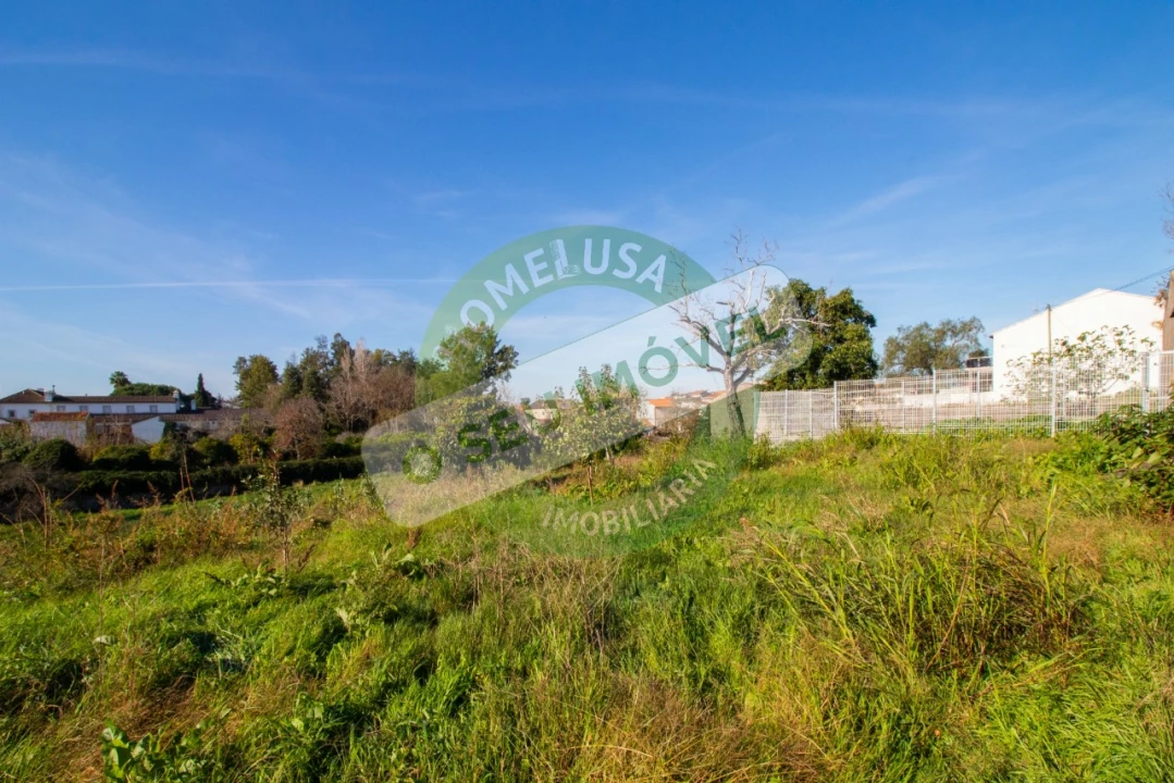 Terreno para Venda em São Martinho de Árvore e Lamarosa Foto 21