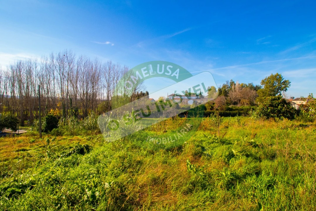 Terreno para Venda em São Martinho de Árvore e Lamarosa Foto 22