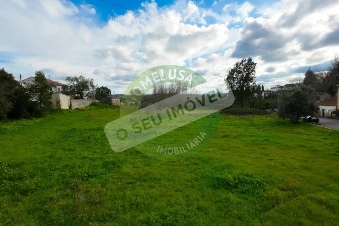 Terreno para Venda em São Martinho de Árvore e Lamarosa Foto 32