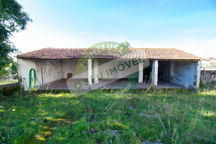 Terreno para Venda em São Martinho de Árvore e Lamarosa Foto 4