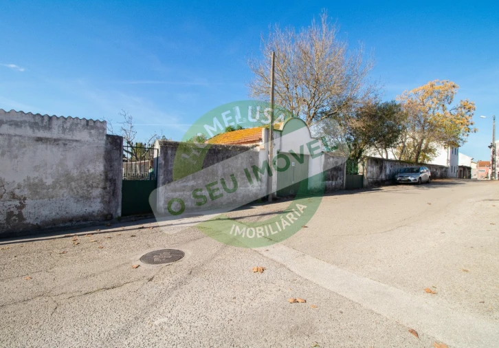 Terreno para Venda em São Martinho de Árvore e Lamarosa Foto 2