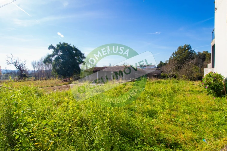 Terreno para Venda em São Martinho de Árvore e Lamarosa Foto 6