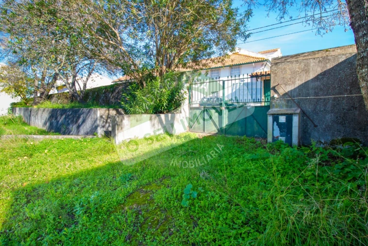 Terreno para Venda em São Martinho de Árvore e Lamarosa Foto 1