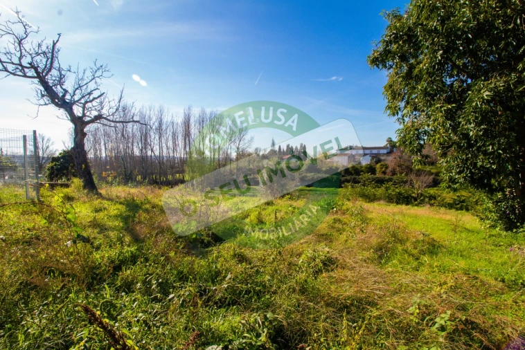 Terreno para Venda em São Martinho de Árvore e Lamarosa Foto 9