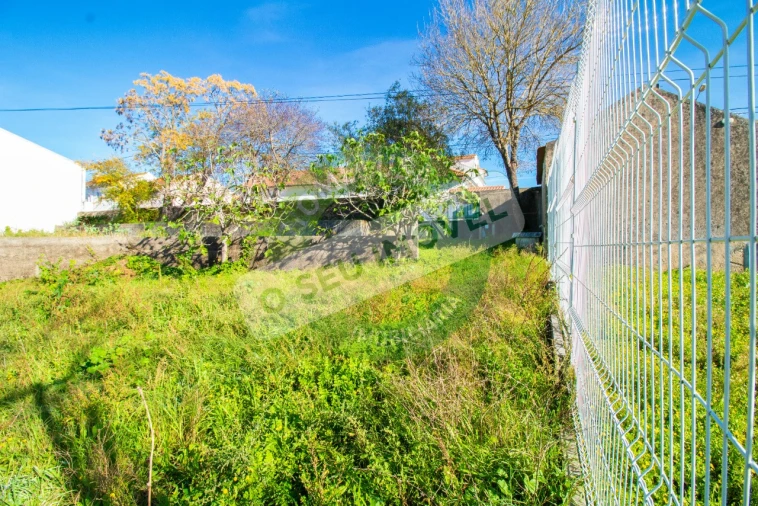 Terreno para Venda em São Martinho de Árvore e Lamarosa Foto 10