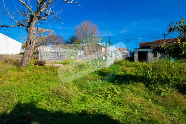 Terreno para Venda em São Martinho de Árvore e Lamarosa Foto 13