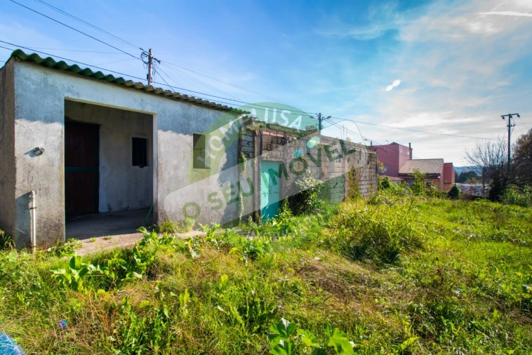 Terreno para Venda em São Martinho de Árvore e Lamarosa Foto 14