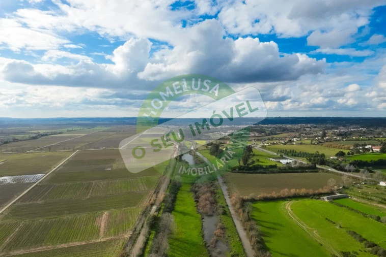 Terreno para Venda em São Martinho de Árvore e Lamarosa Foto 26