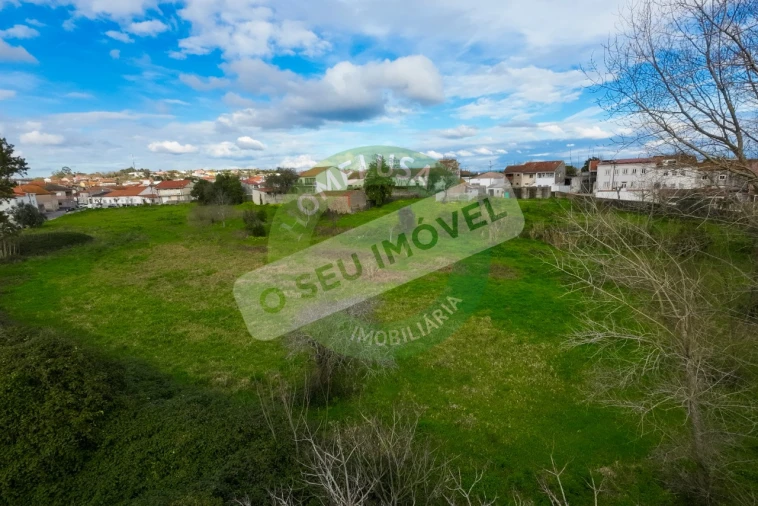 Terreno para Venda em São Martinho de Árvore e Lamarosa Foto 34
