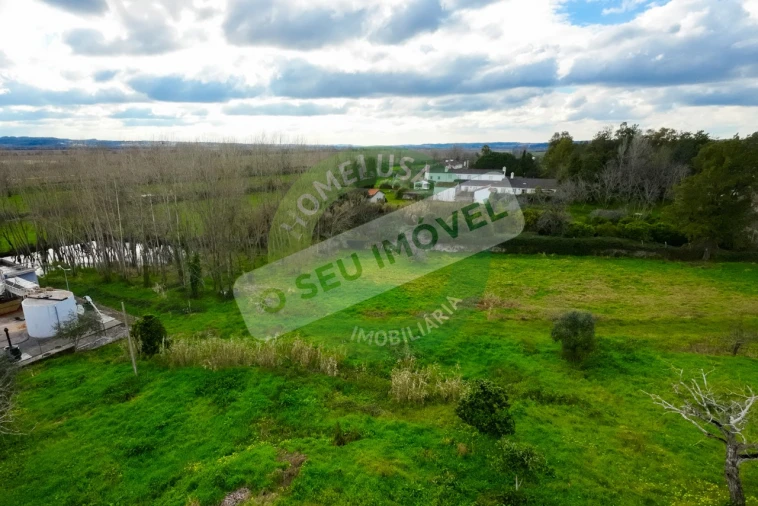 Terreno para Venda em São Martinho de Árvore e Lamarosa Foto 36