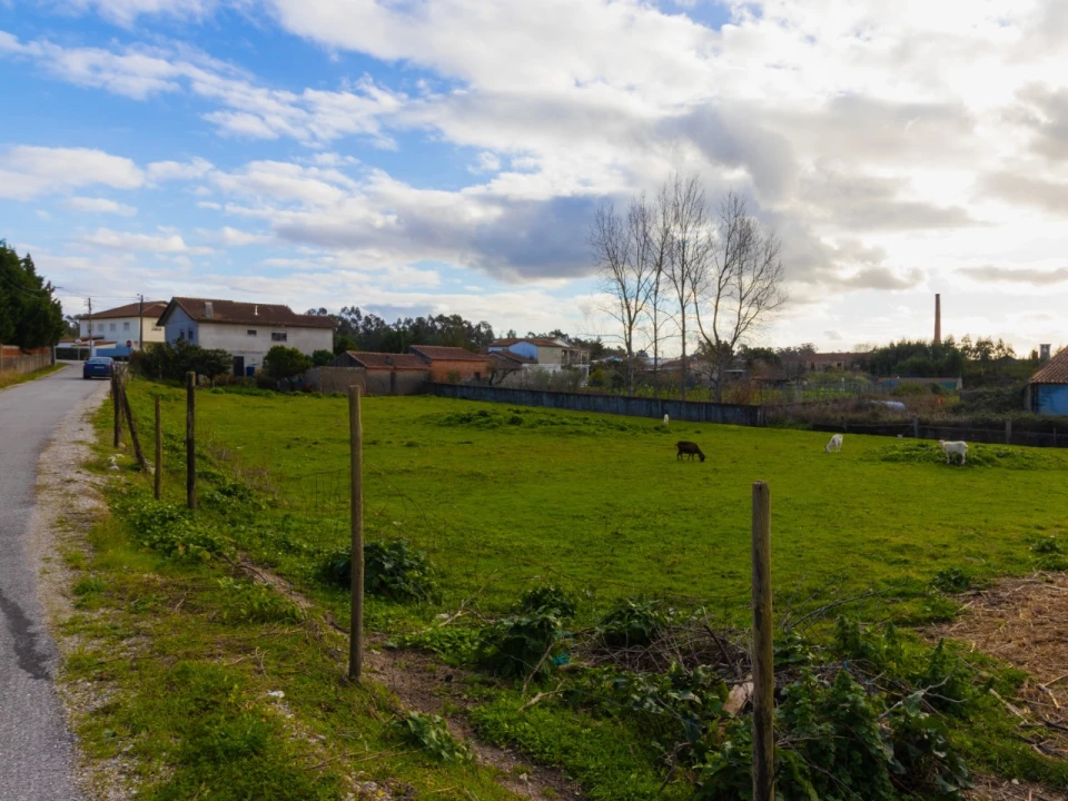 Terreno para Venda em Arazede Foto 4