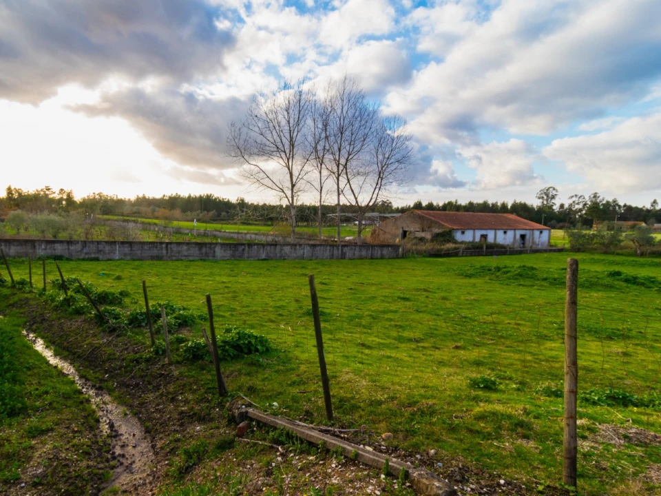 Terreno para Venda em Arazede Foto 12