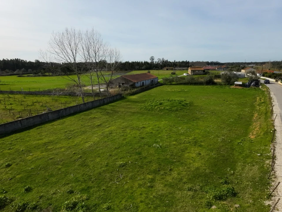 Terreno para Venda em Arazede Foto 18