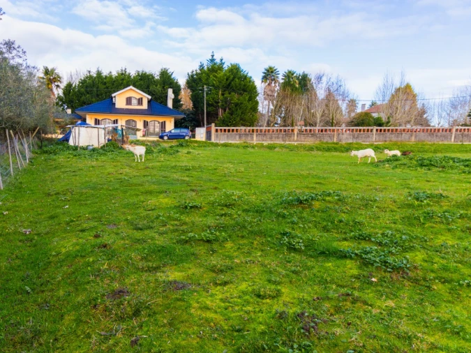 Terreno para Venda em Arazede Foto 7