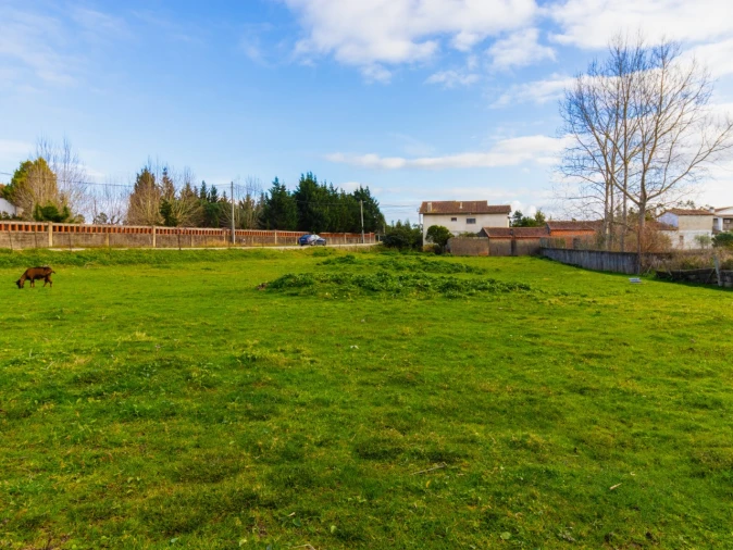 Terreno para Venda em Arazede Foto 8