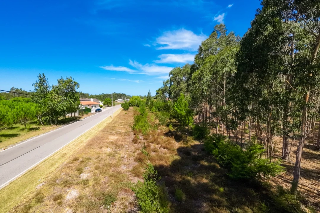 Terreno para Venda em Moinhos de Gandara Foto 3