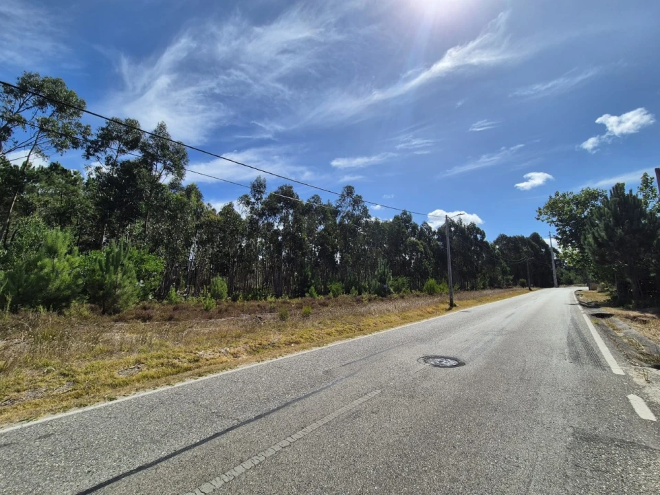 Terreno para Venda em Moinhos de Gandara Foto 6