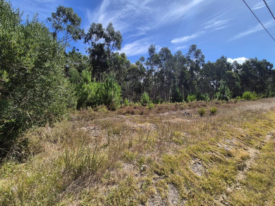 Terreno para Venda em Moinhos de Gandara Foto 1