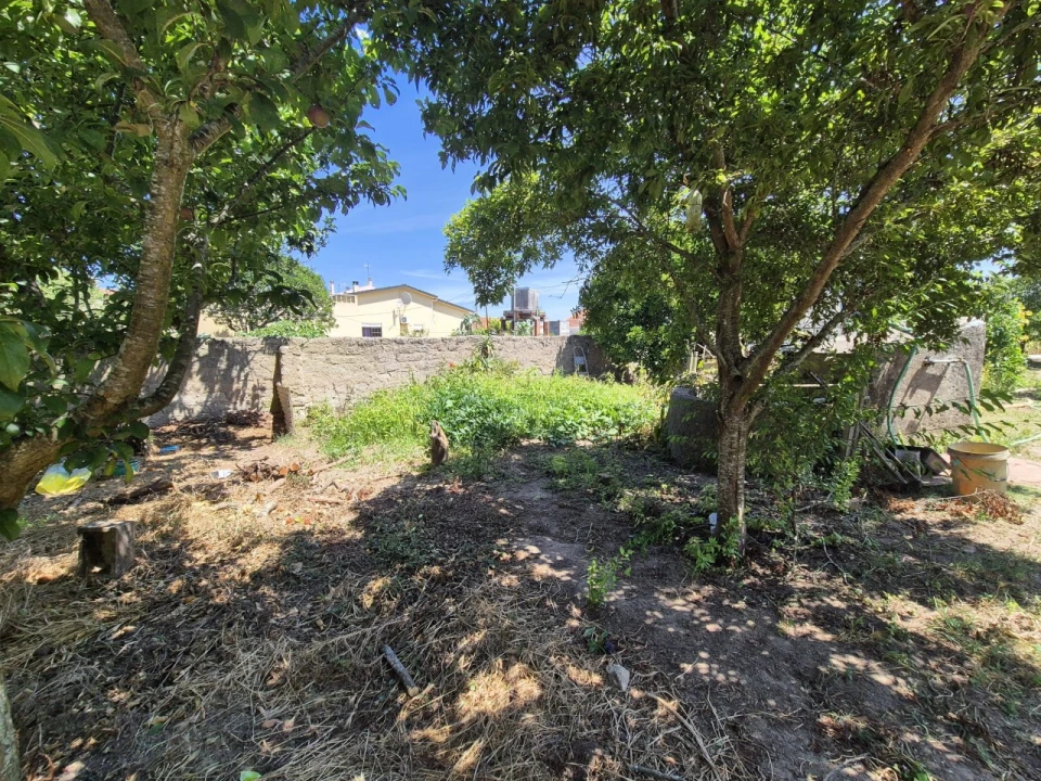 Terreno para Venda em Paião Foto 3