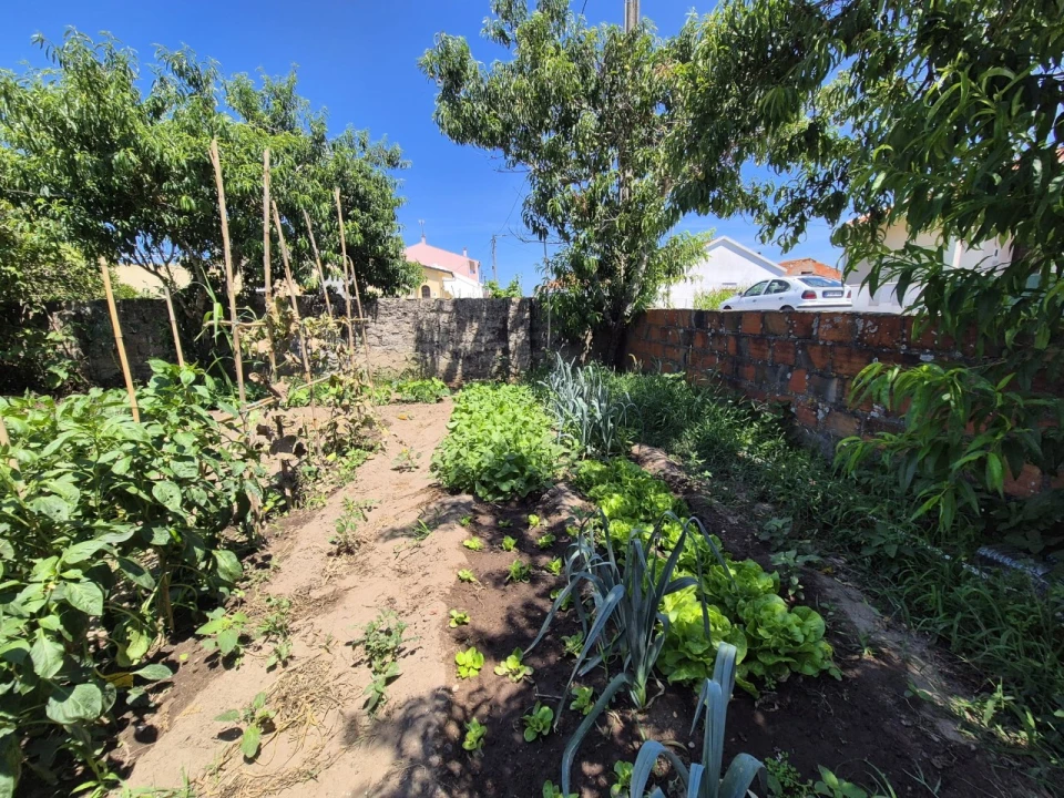 Terreno para Venda em Paião Foto 4