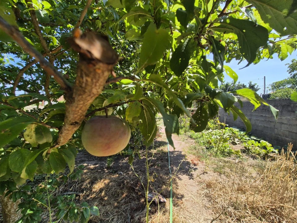 Terreno para Venda em Paião Foto 14