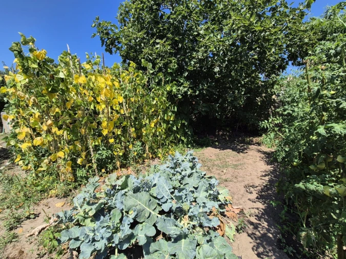 Terreno para Venda em Paião Foto 2