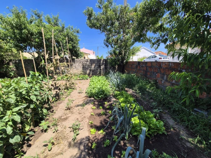 Terreno para Venda em Paião Foto 4
