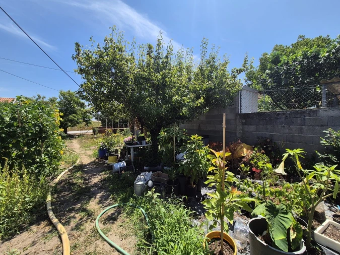 Terreno para Venda em Paião Foto 6