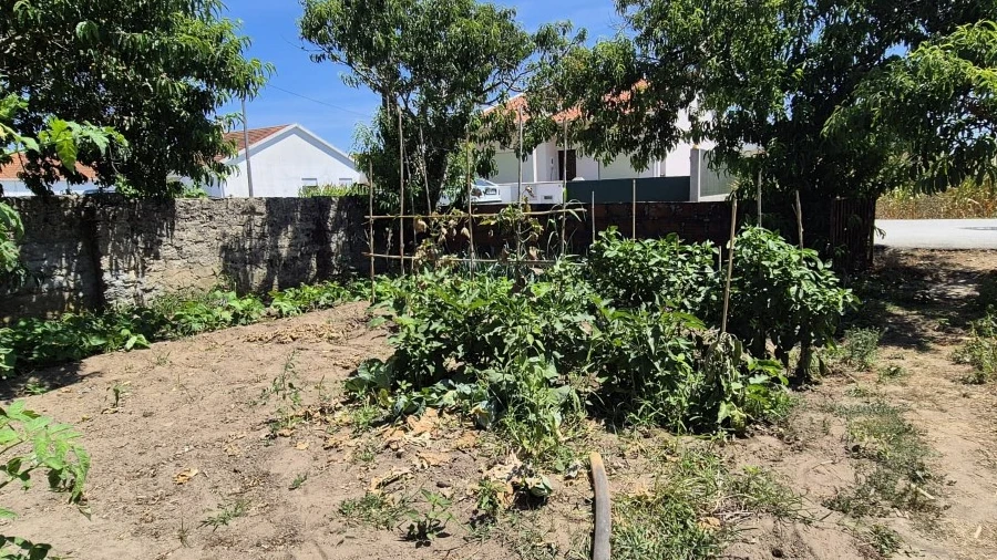 Terreno para Venda em Paião