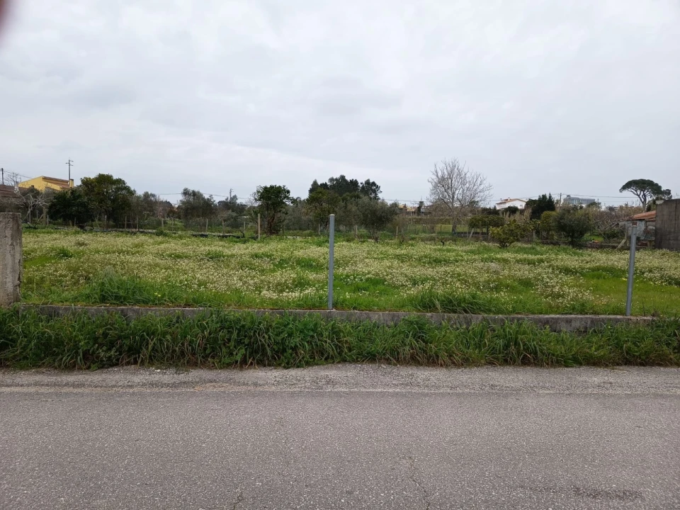 Terreno para Venda em Carapinheira Foto 5