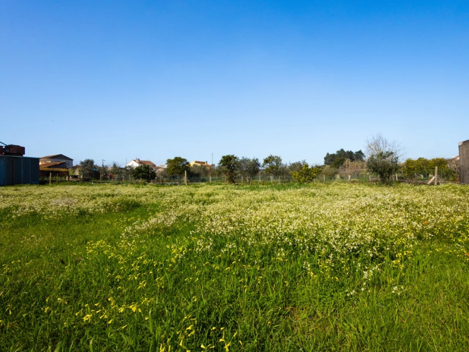 Terreno para Venda em Carapinheira Foto 14
