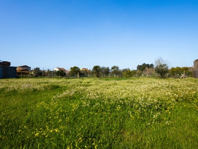 Terreno para Venda em Carapinheira Foto 14