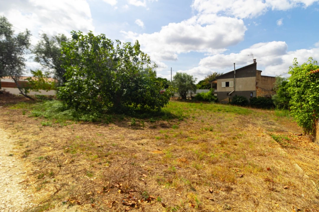 Terreno para Venda em Portunhos e Outil Foto 1