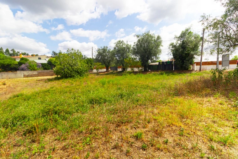 Terreno para Venda em Portunhos e Outil Foto 5